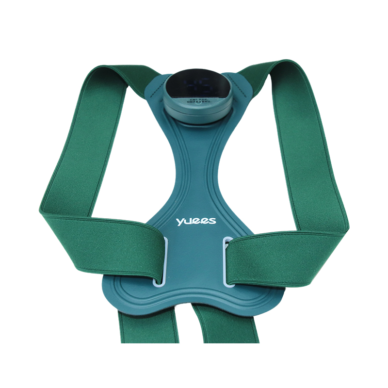 How can a back posture corrector restore an upright posture in daily life?